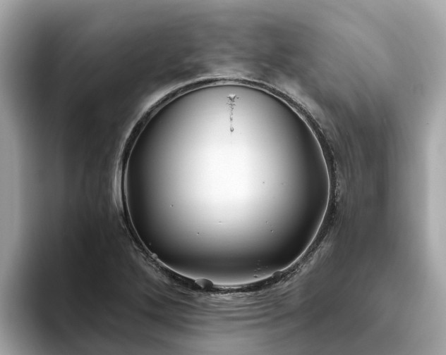 X0000094081272200710261300