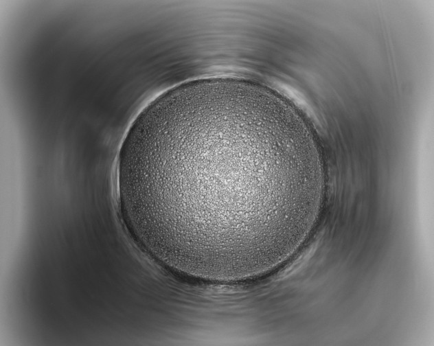 X0000094081275200710261300