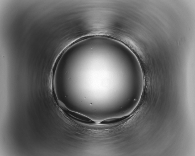 X0000094081276200710261300