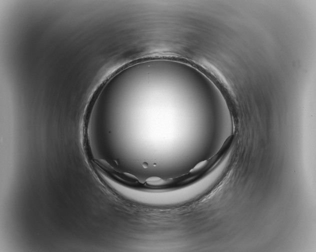 X0000094081277200710261300