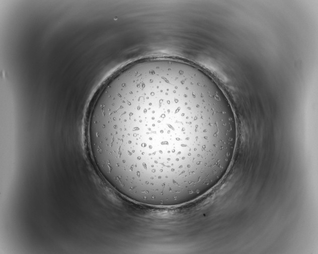 X0000094081278200710261300