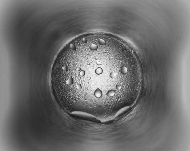 X0000094081279200710261300