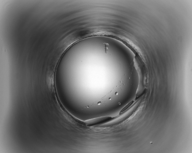 X0000094081281200710261300