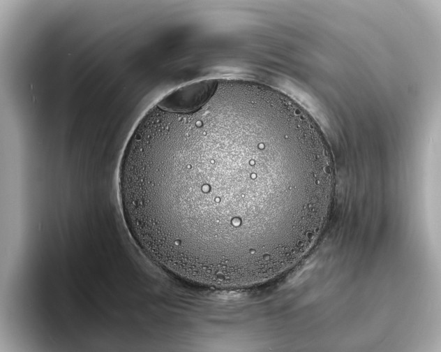 X0000094081283200710261259