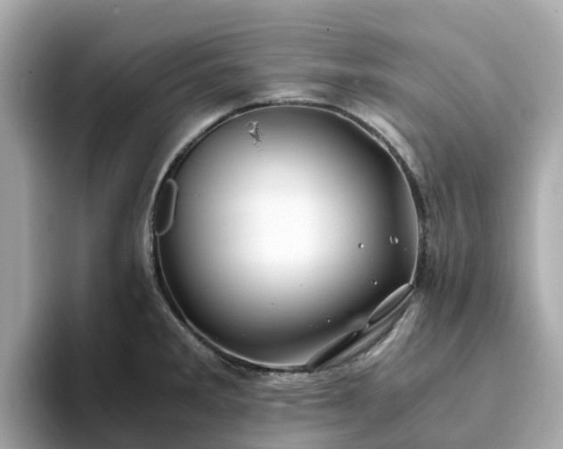 X0000094081285200710261259