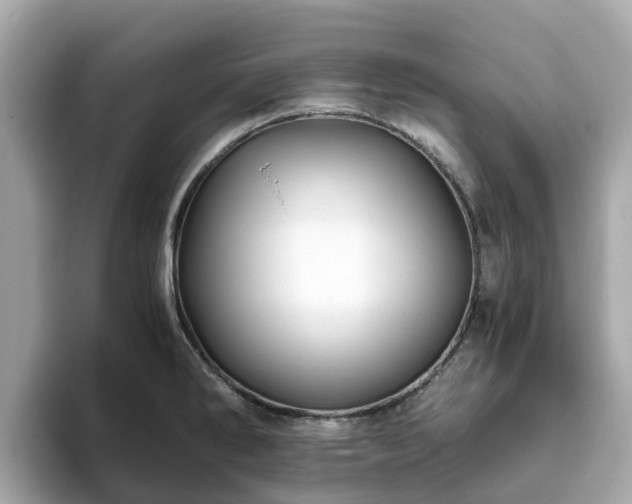 X0000094081286200710261259