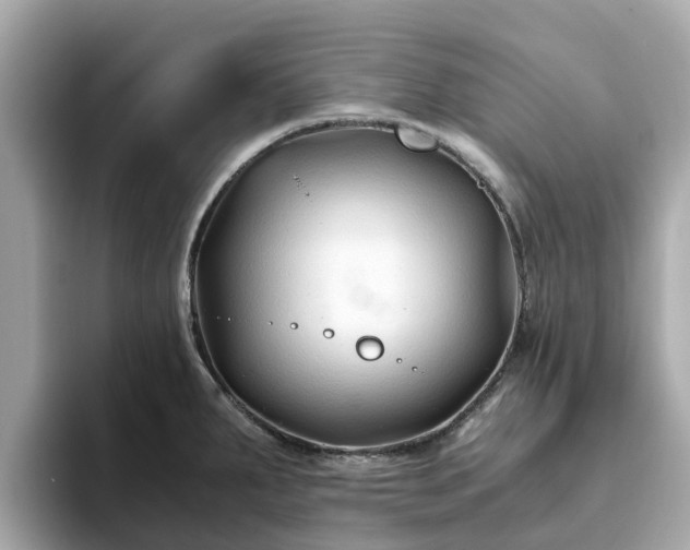 X0000094081287200710261259