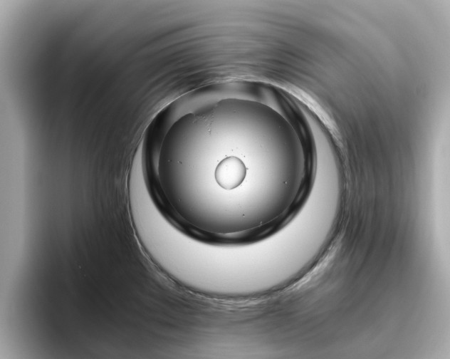 X0000094081289200710261259