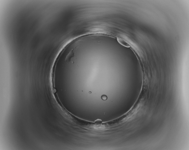 X0000094081291200710261259