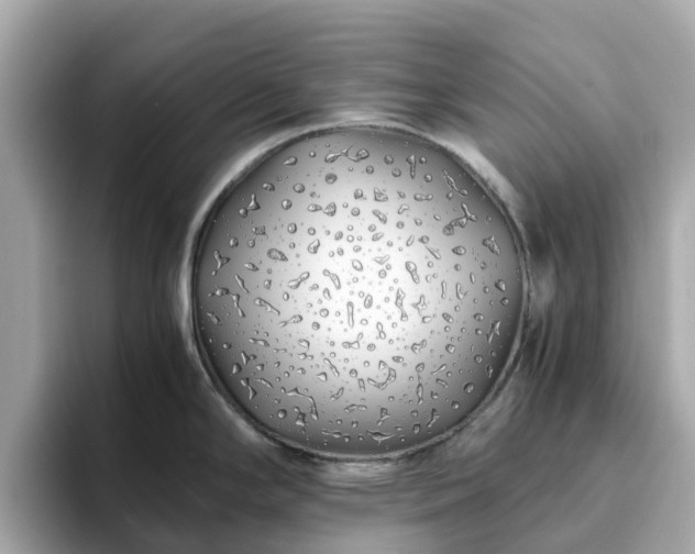 X0000094081294200710261259