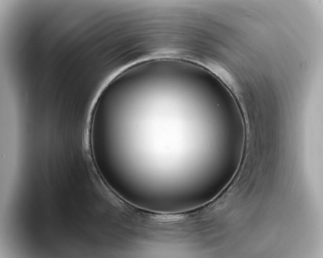 X0000094081296200710261259