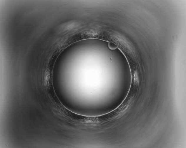 X0000094081299200710261259