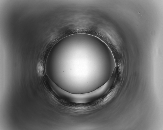 X0000094081300200710261259