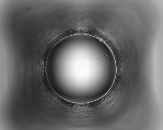 X0000094081301200710261259