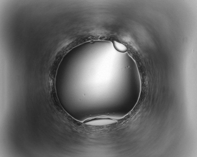 X0000094081302200710261259