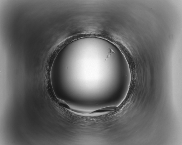 X0000094081304200710261259