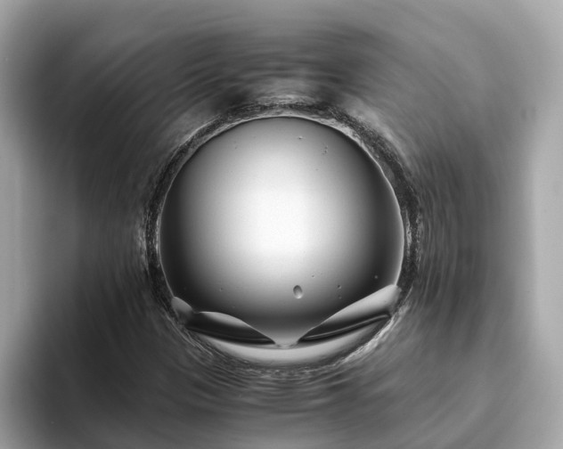 X0000094081305200710261259