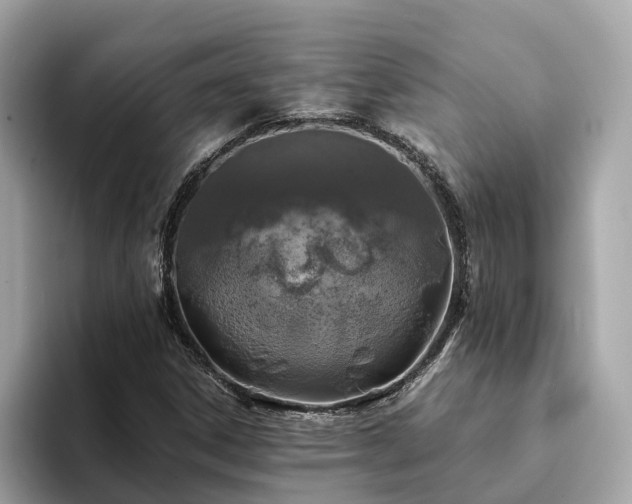 X0000094081306200710261259