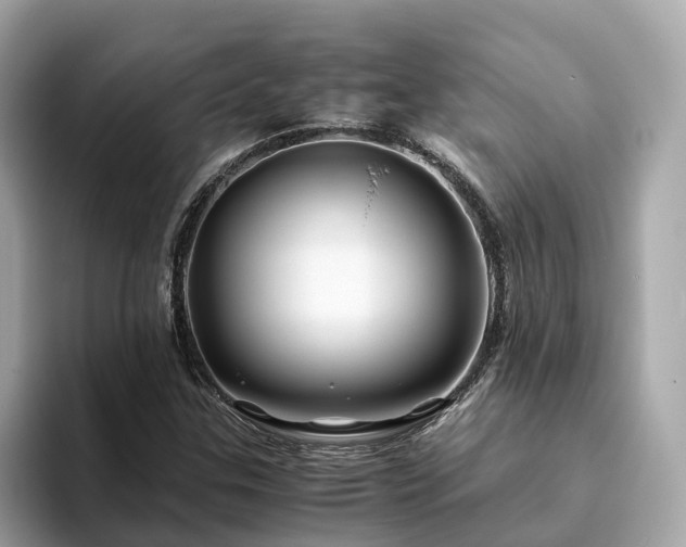 X0000094081307200710261259