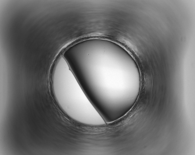 X0000094081308200710261259