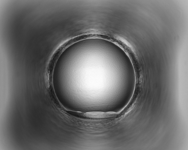 X0000094081310200710261259