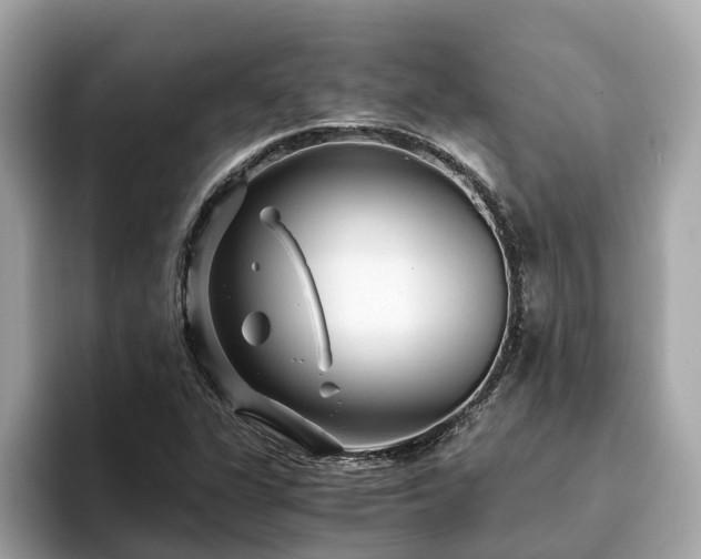 X0000094081311200710261259