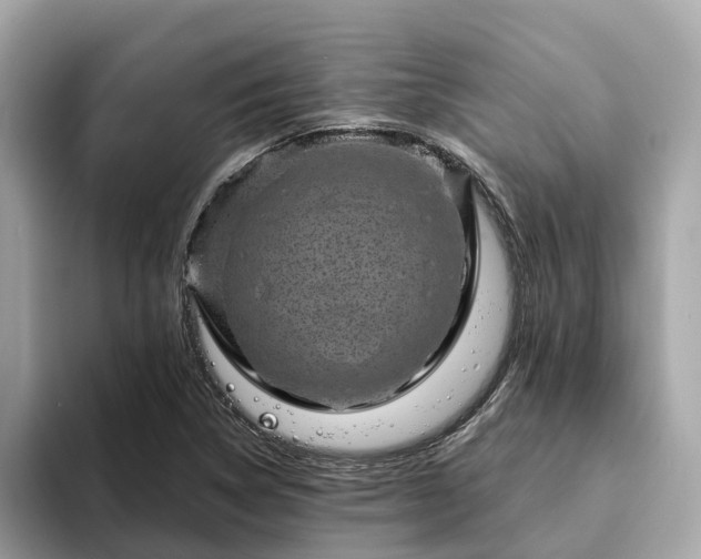 X0000094081314200710261259