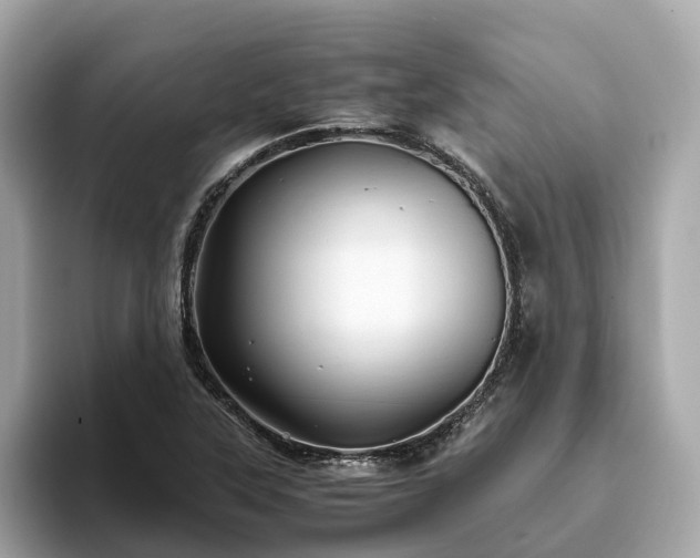 X0000094081315200710261259