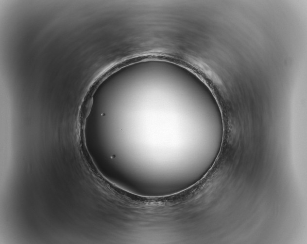 X0000094081316200710261259