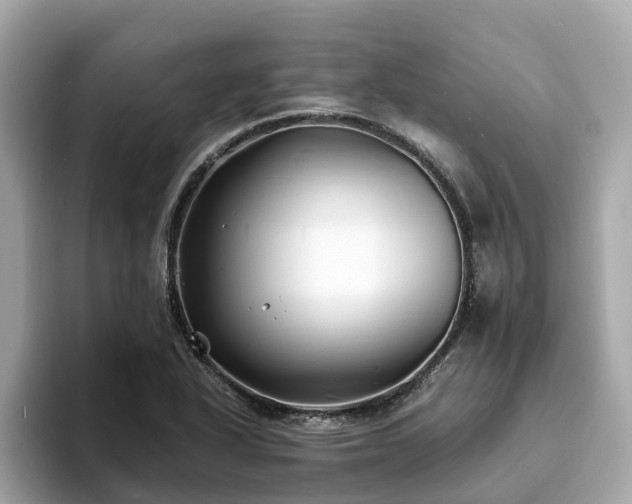 X0000094081318200710261259