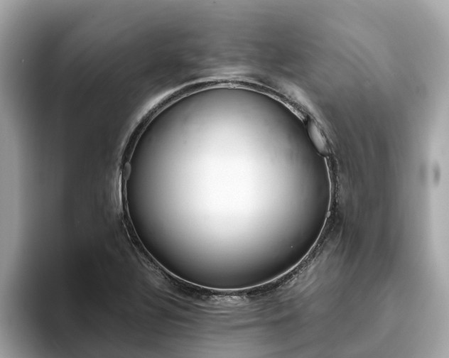 X0000094081320200710261259