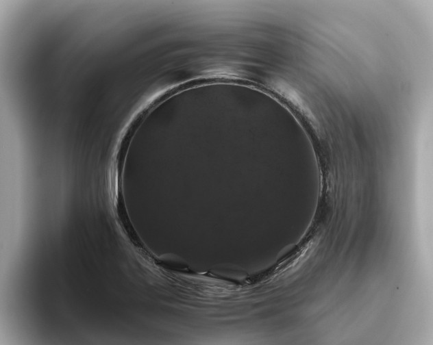 X0000094081323200710261259