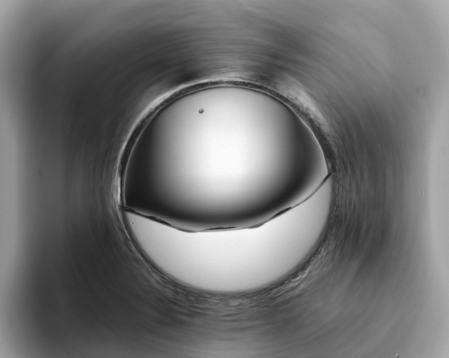 X0000094081324200710261259