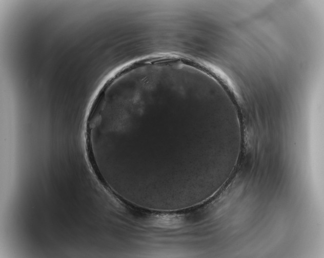 X0000094081327200710261259