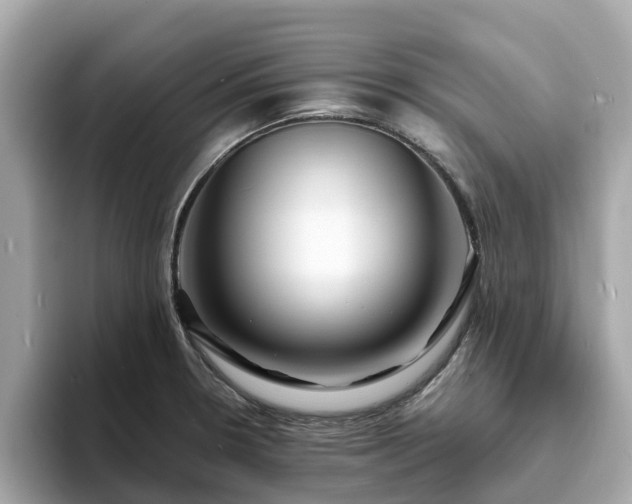 X0000094081330200710261259