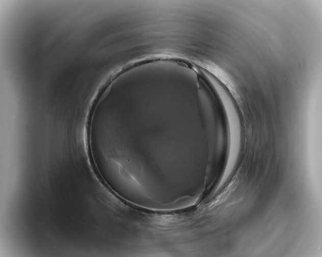 X0000094081334200710261259