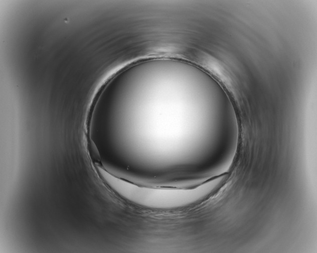 X0000094081336200710261259