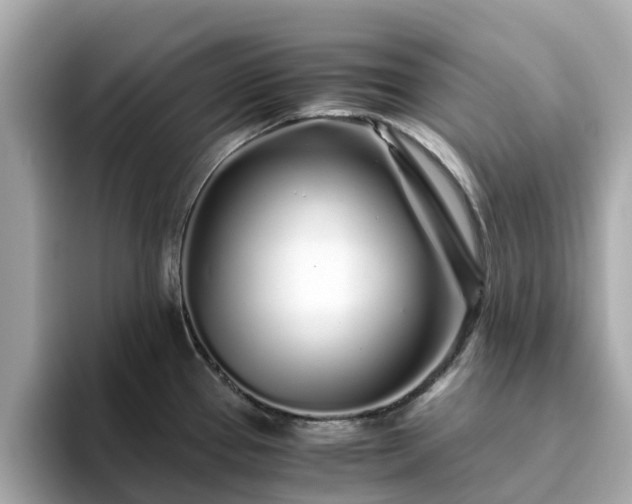 X0000094081337200710261259