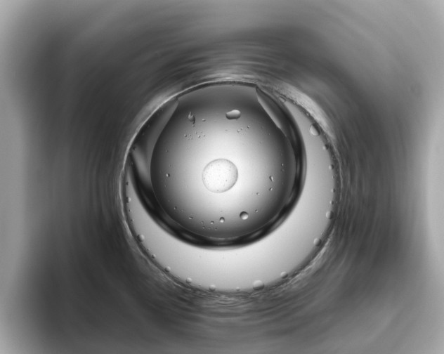 X0000094081338200710261259