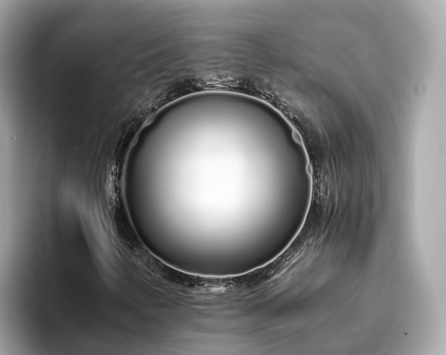 X0000094081346200710261259