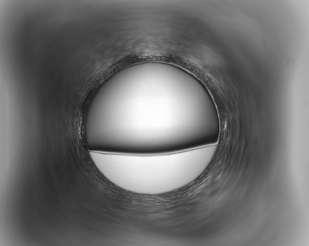 X0000094081348200710261259