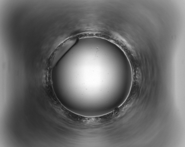 X0000094081352200710261259