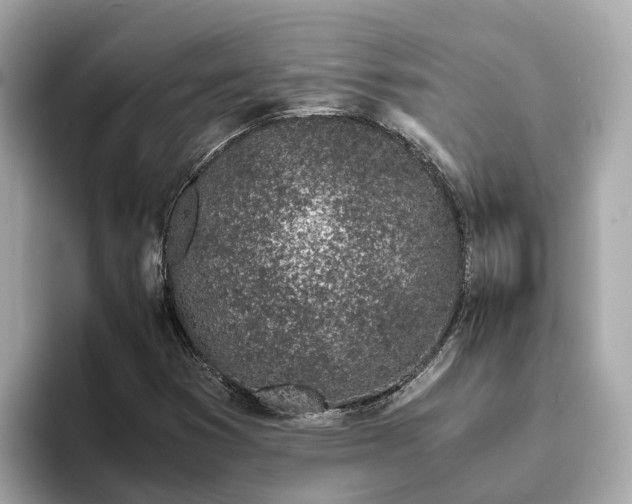 X0000094081353200710261259