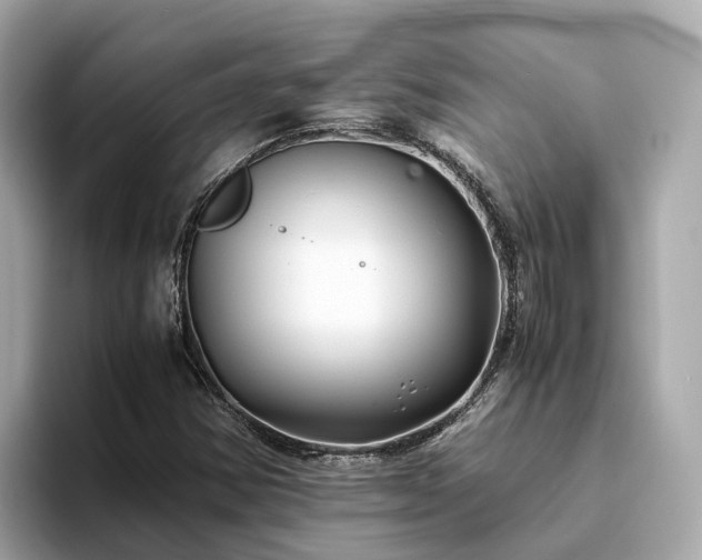 X0000094081354200710261259