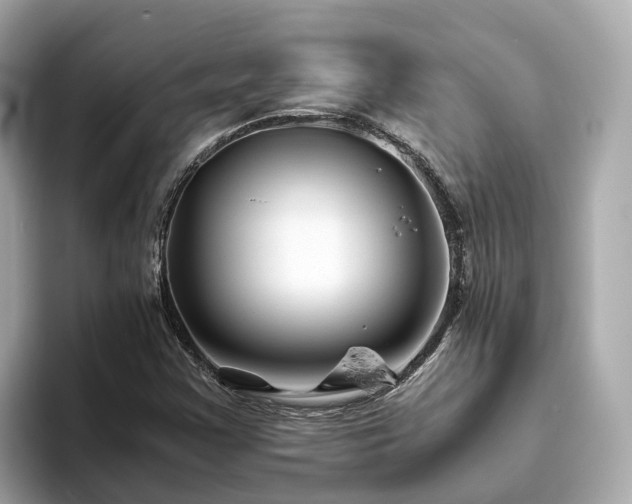 X0000094081355200710261259