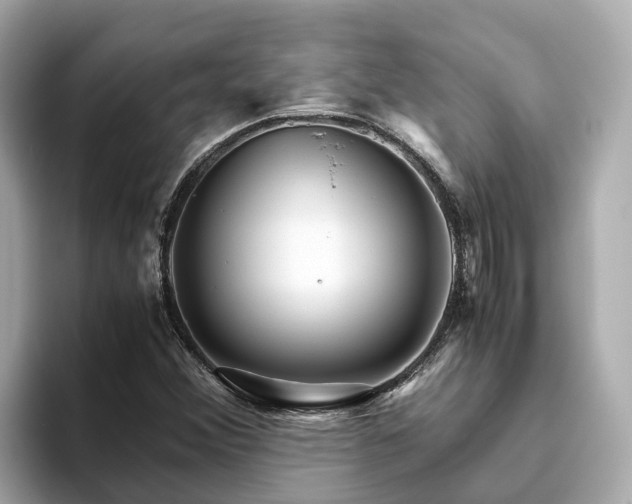 X0000094081356200710261259