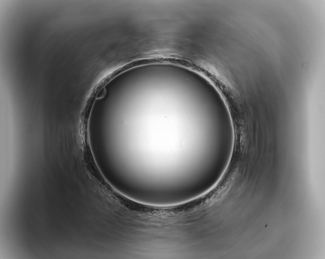 X0000094081358200710261259