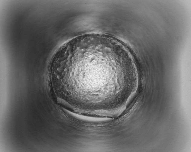 X0000094081359200710261258