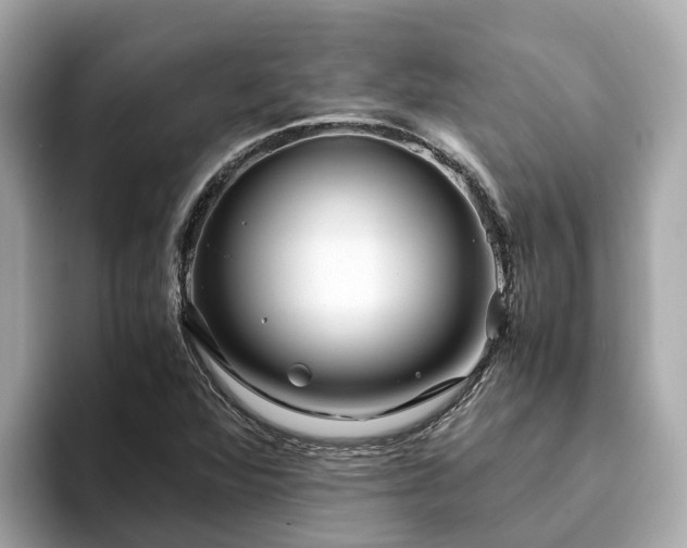 X0000094081360200710261258