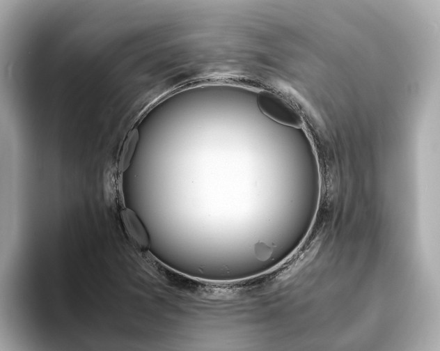 X0000094081361200710261258